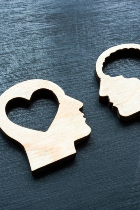 Rise of Emotional Intelligence in Modern Companion