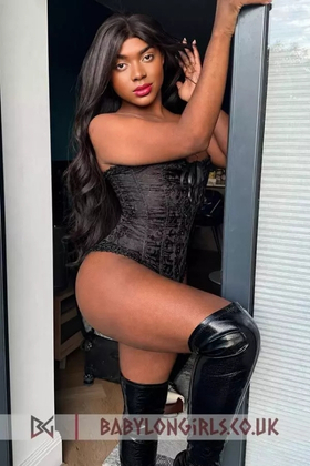 Booking a Pre-Op Transgender Escort | A Guide for Bicurious Men